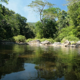 2011-04 Vicentillo
